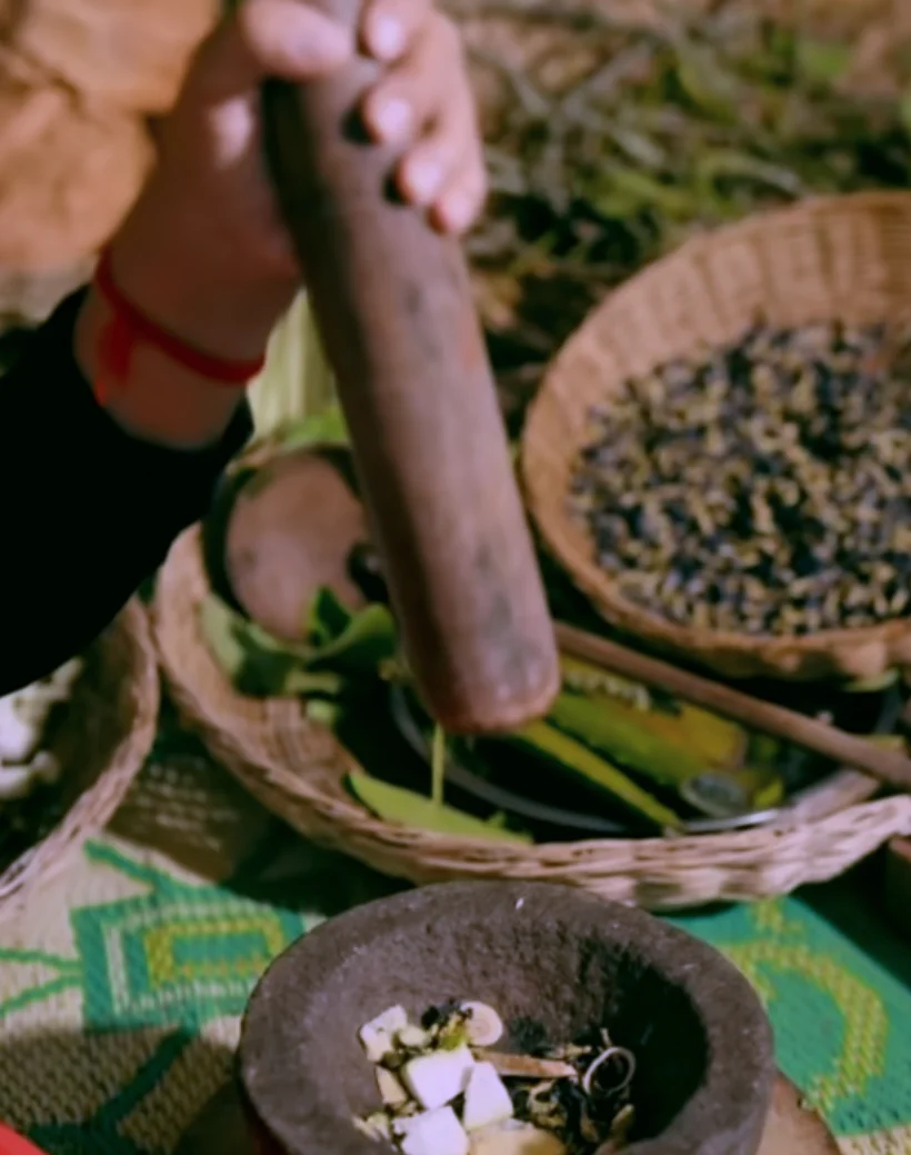 khmer-herbal-healing